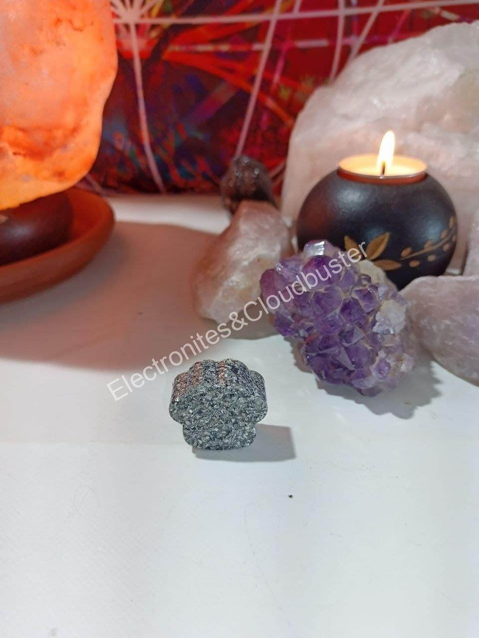 Electronite formato Huella Mascota - Imagen 3