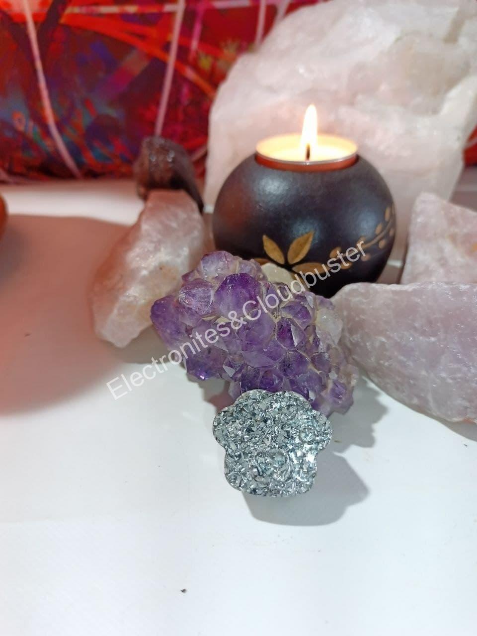 Electronite formato Huella Mascota - Imagen 2