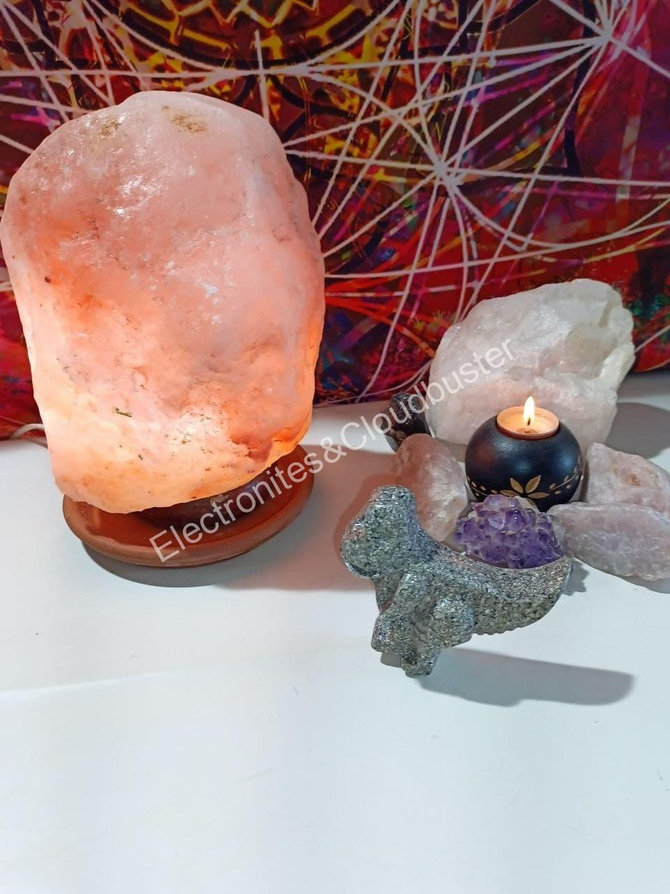 Electronite Dinosaurio decorativo Grande Mod. 1 - Imagen 2