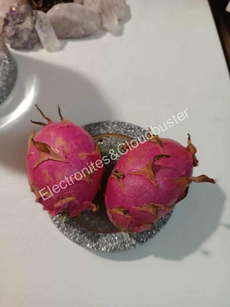 Disco Revitalizador Líquidos y Alimentos. EMF. - Imagen 8