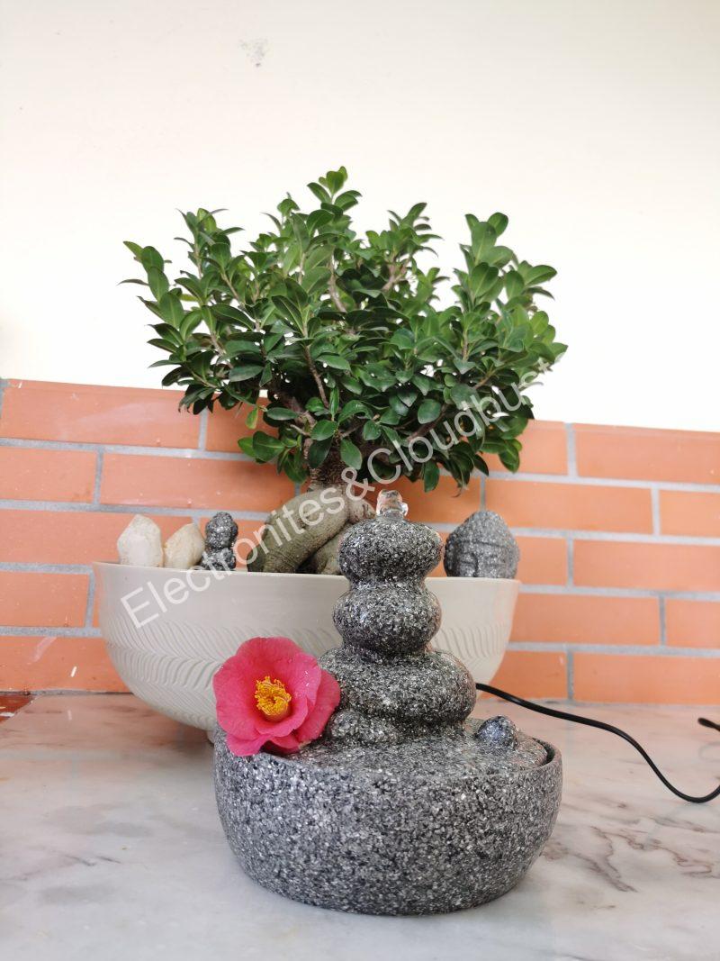 Fuente de Agua Artesanal Electronite - Imagen 3